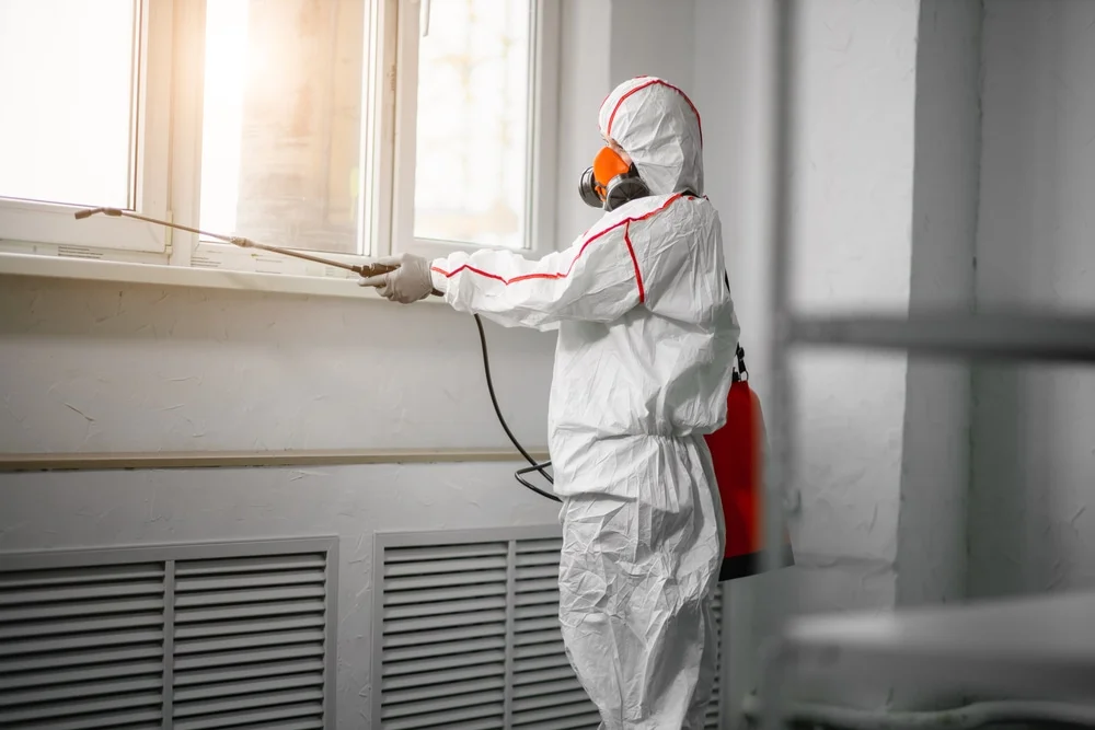 Professional mold remediation services in Old Lyme, CT